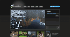 Desktop Screenshot of ellwe.ellwenaturfoto.se
